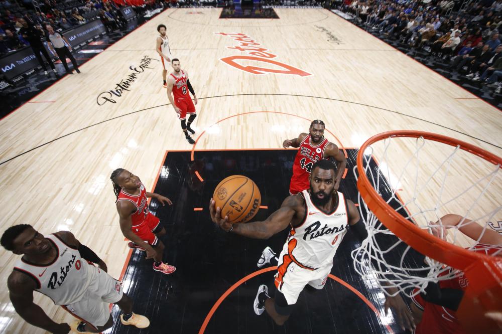 献的肯定 献的肯定